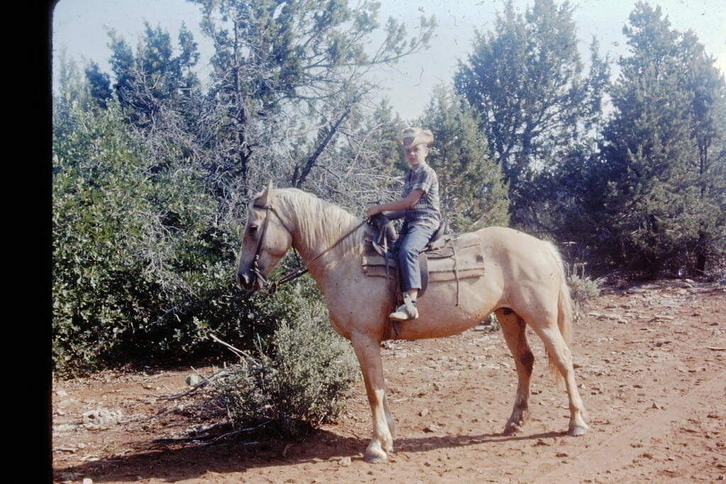 A boy is riding a light-colored horse in a natural outdoor setting.
